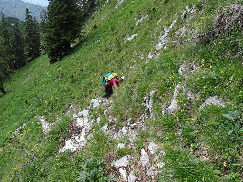 Buchbergkogel